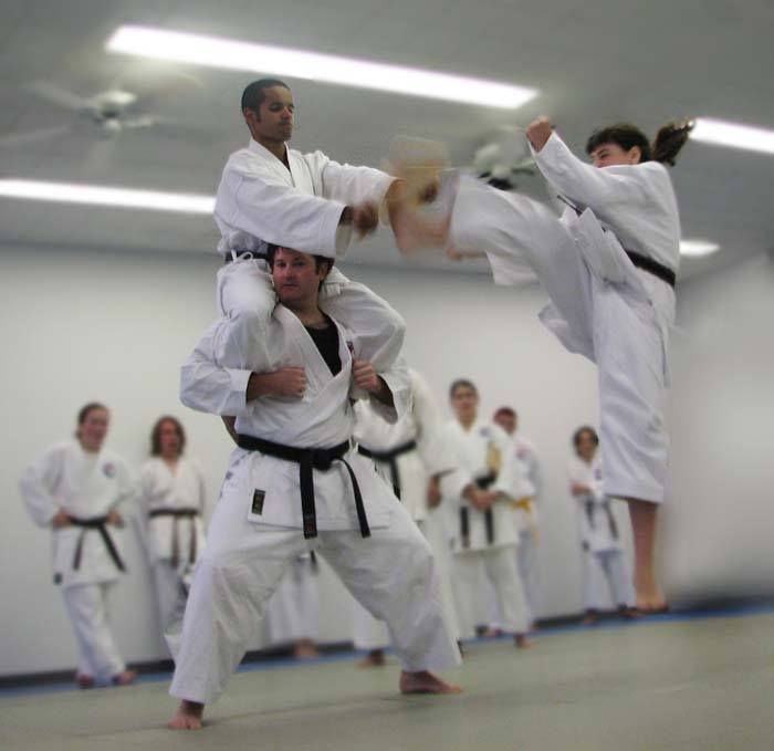 seibukan martial arts class