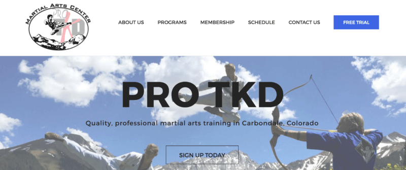 pro tkd website banner