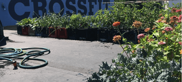 crossfit garden