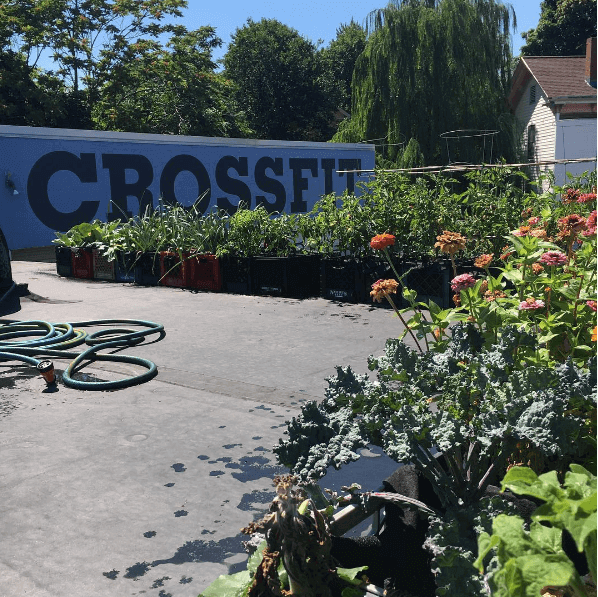 crossfit garden