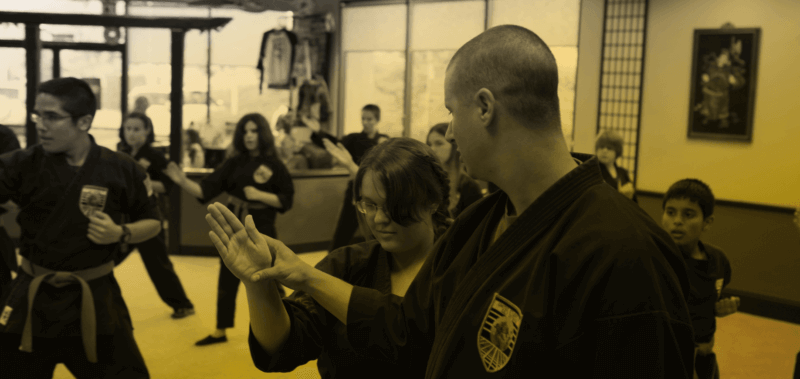 Martial Arts School Revenue Opportunities