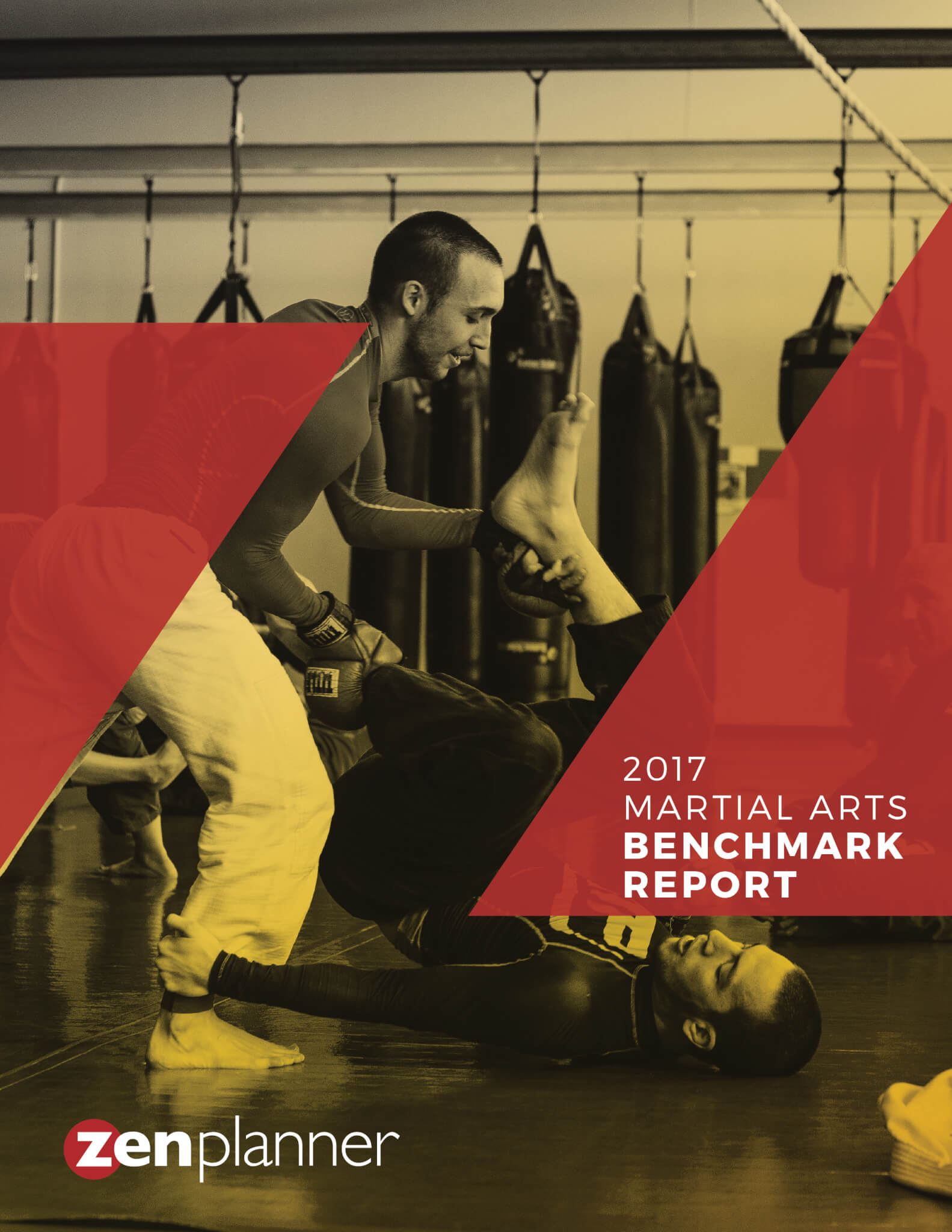 Download our martial arts benchmark report. 