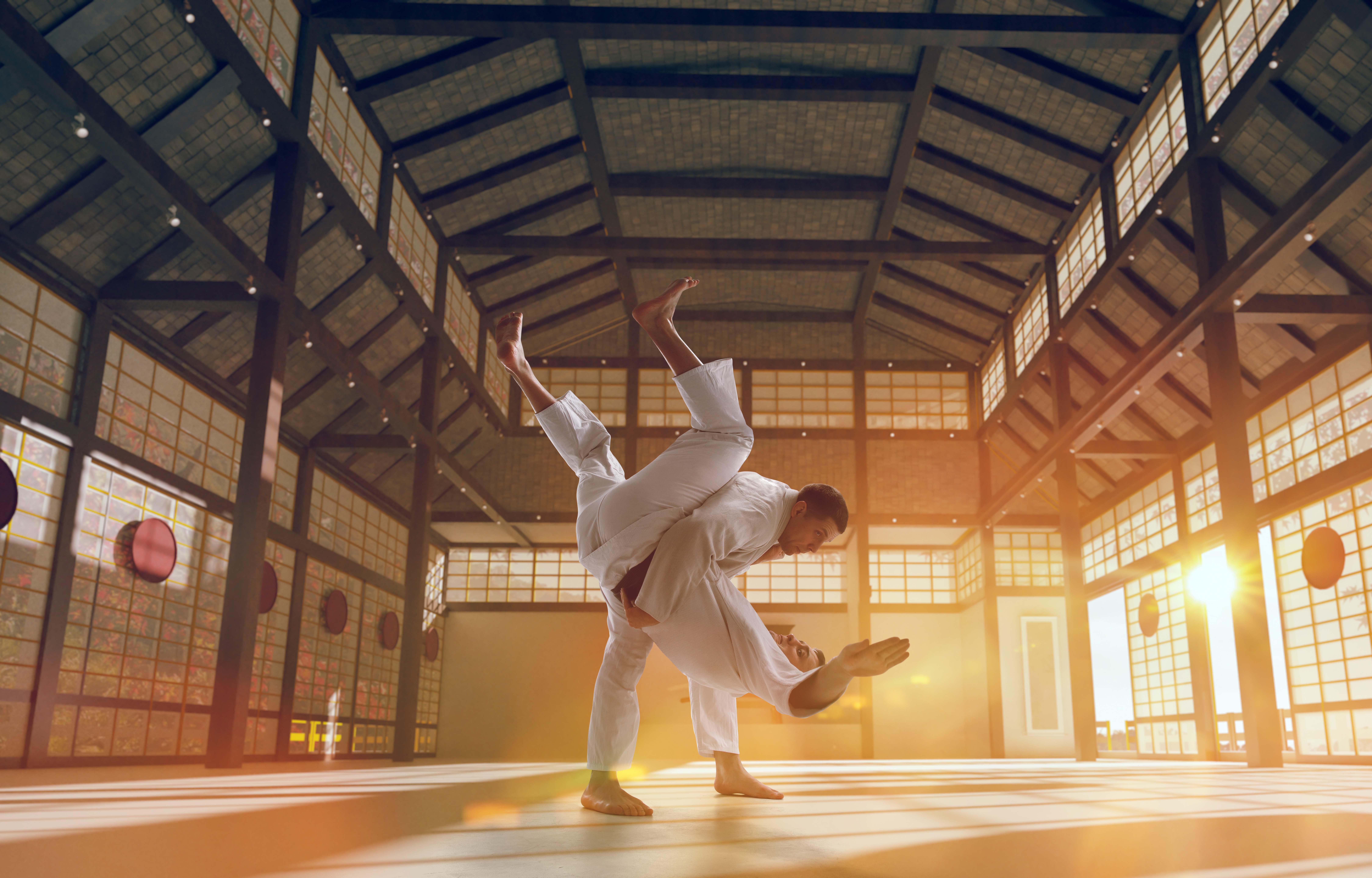 karate-fighters Martial artists performing a throw technique in a dojo.