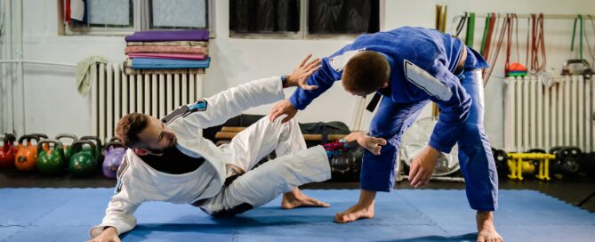 BJJ gym software dashboard displaying belt testing and student tracking features