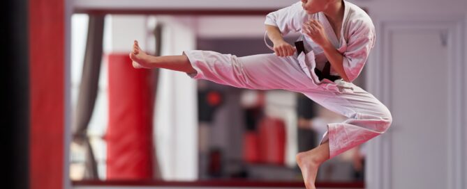Martial arts software dashboard showing student tracking features
