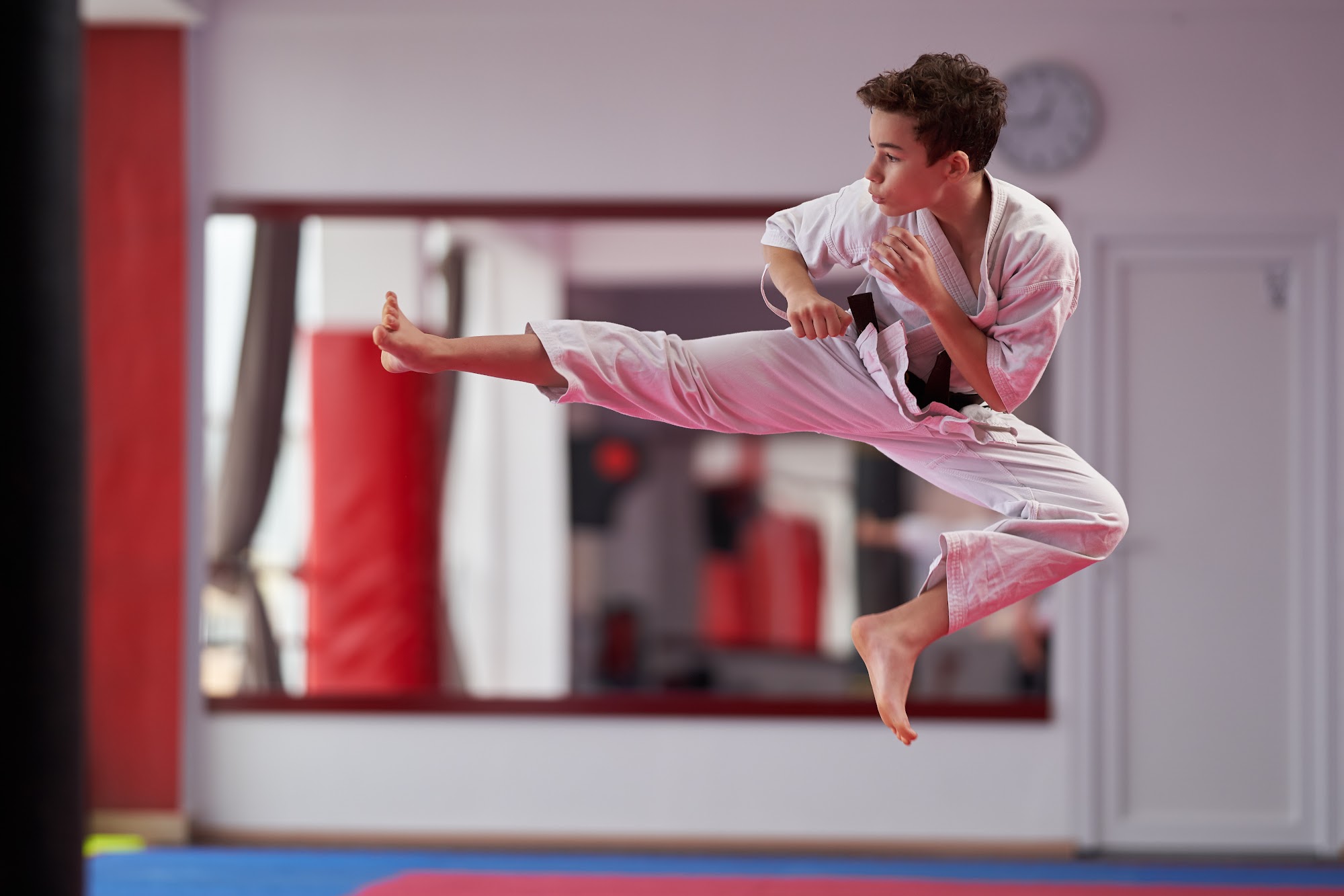 Martial arts software dashboard showing student tracking features