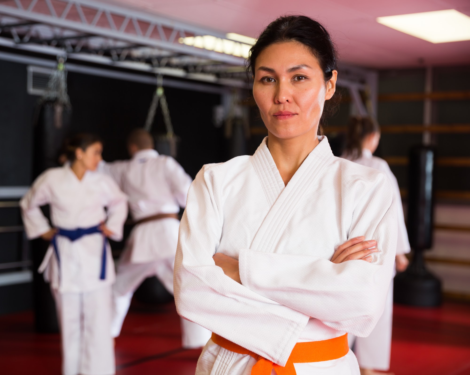 Martial arts software interface with color belt tracking and student progress charts