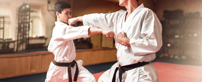 Martial arts academy software dashboard showing member management and scheduling features